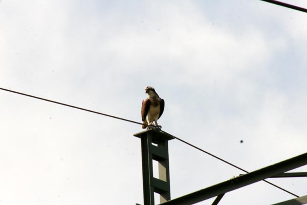 Killikus&reg; Fotographie